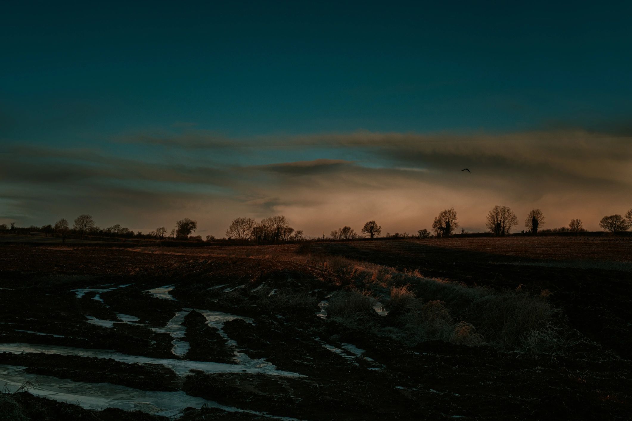 Sunset over an open field