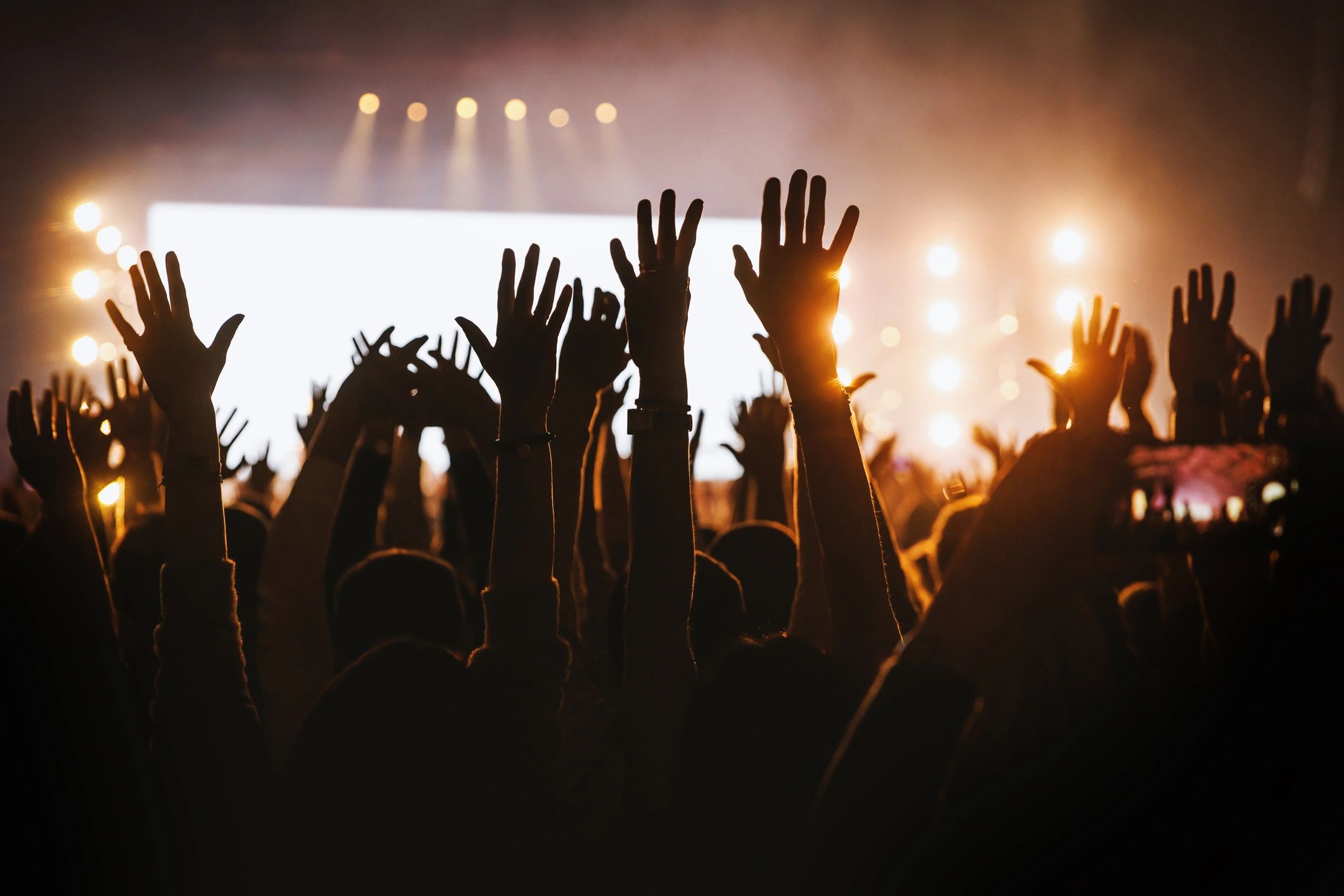 Silhouetted crowd cheering at a live music performance